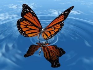 15324669-the-beautiful-butterfly-with-wings